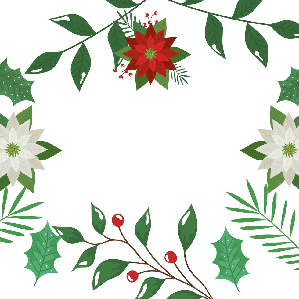 frame of leafs with flowers and seeds decorative vector