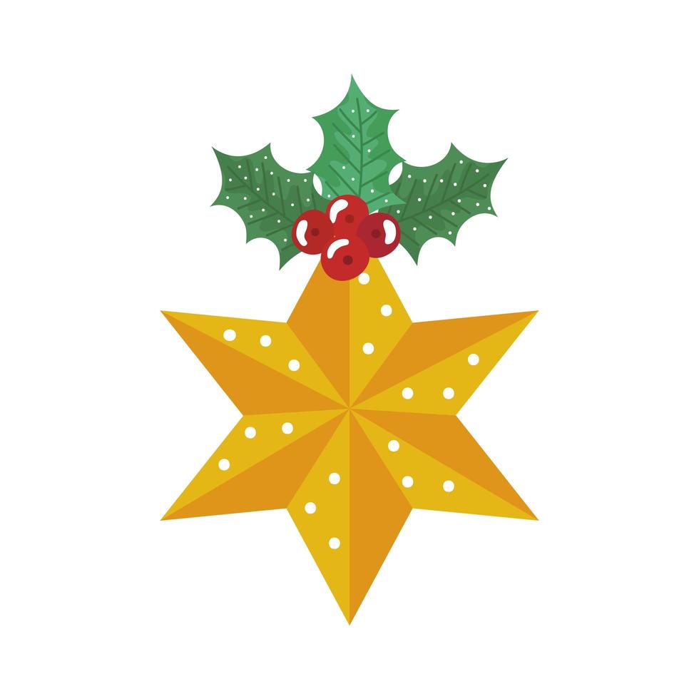 Decoración de estrella navideña con hojas y semillas. vector