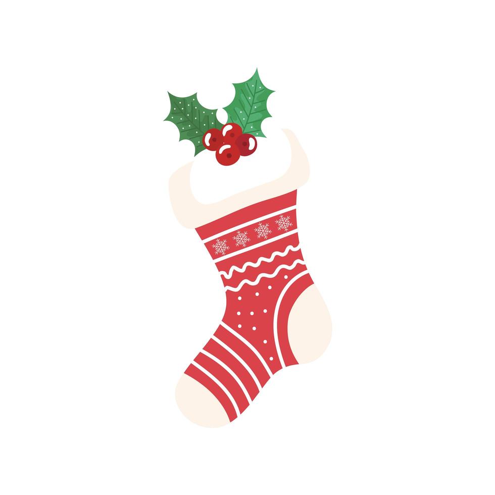 sock christmas decorative with leafs and seeds vector