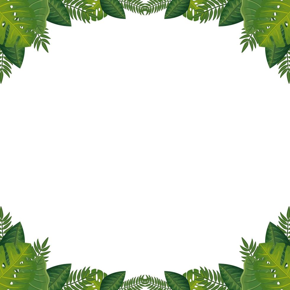 frame of leafs nature isolated icon vector