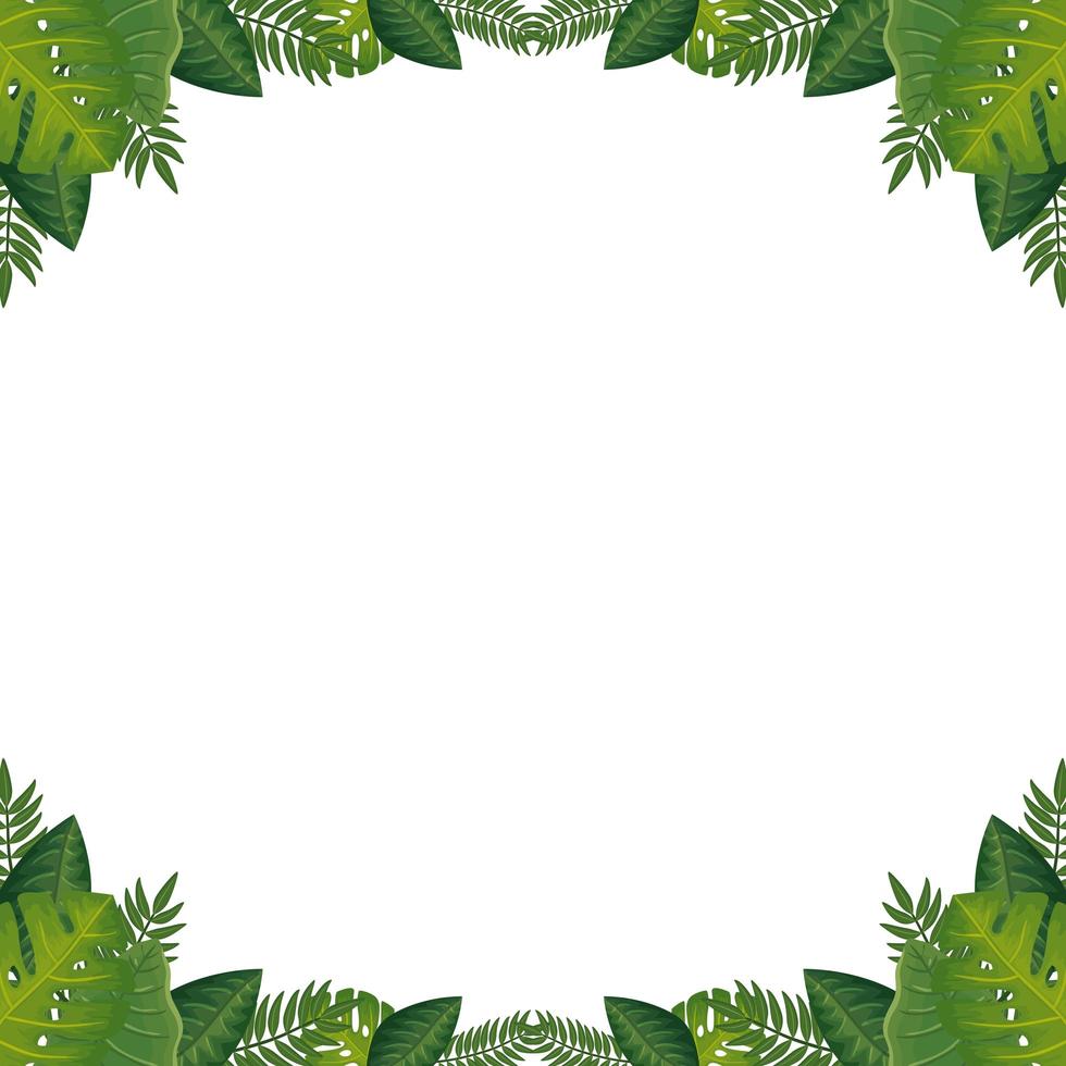 frame of leafs nature isolated icon vector