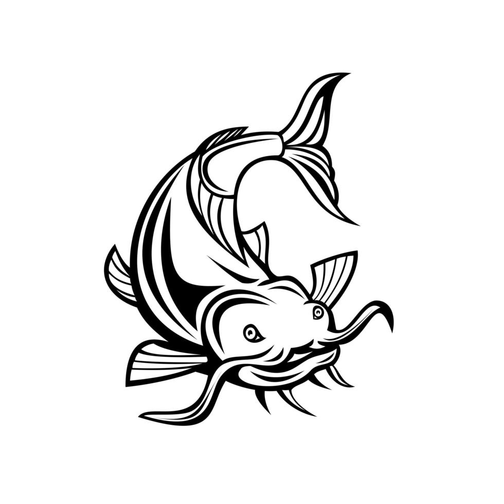 Catfish or Wels Catfish Attacking Front Cartoon Black and White vector