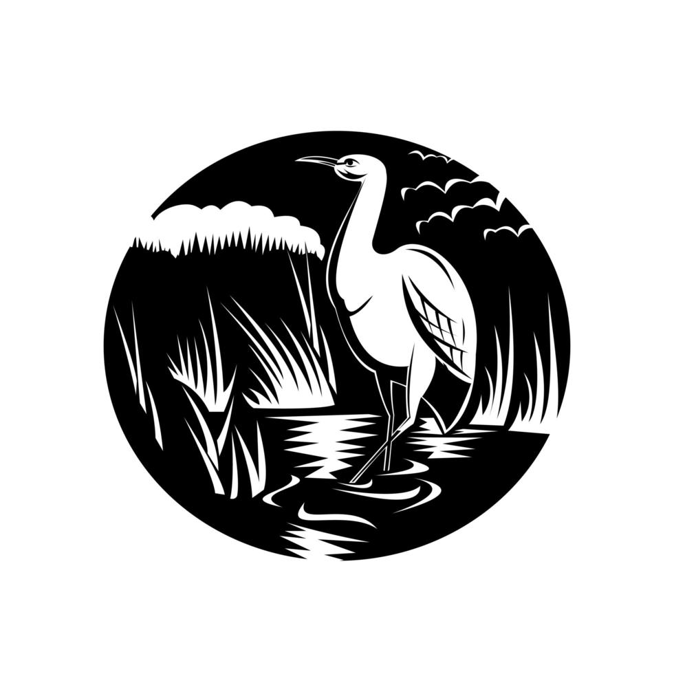 Garza o garza en xilografía de círculo pantanoso en blanco y negro vector