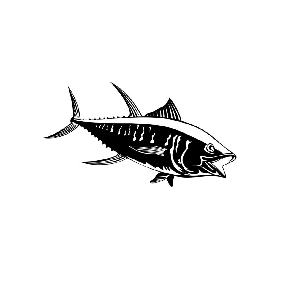 Yellowfin Tuna Thunnus Albacares or Ahi Swimming Side vector