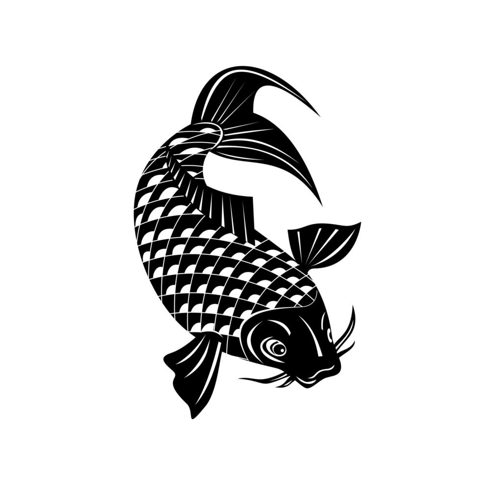 Koi Jinli or Nishikigoi Brocaded Carp a Colored Variety of the Amur vector