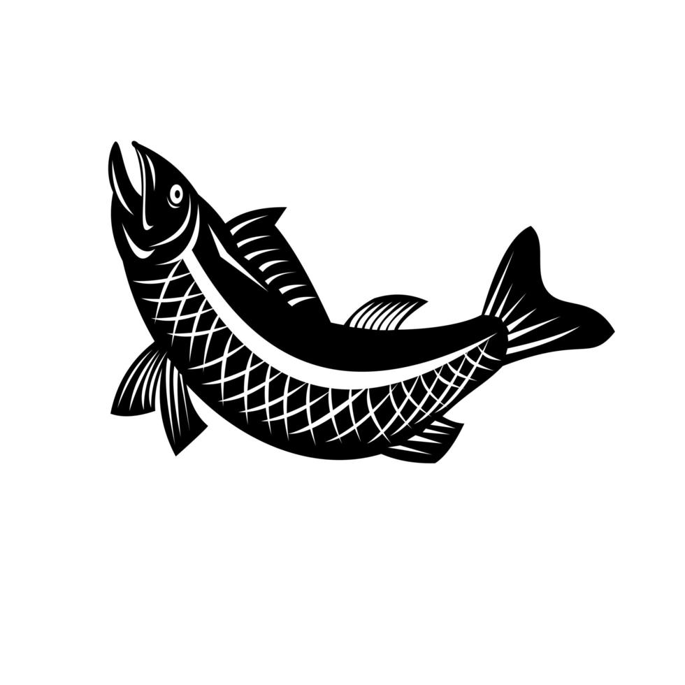 trucha pez saltando vista lateral retro en blanco y negro vector