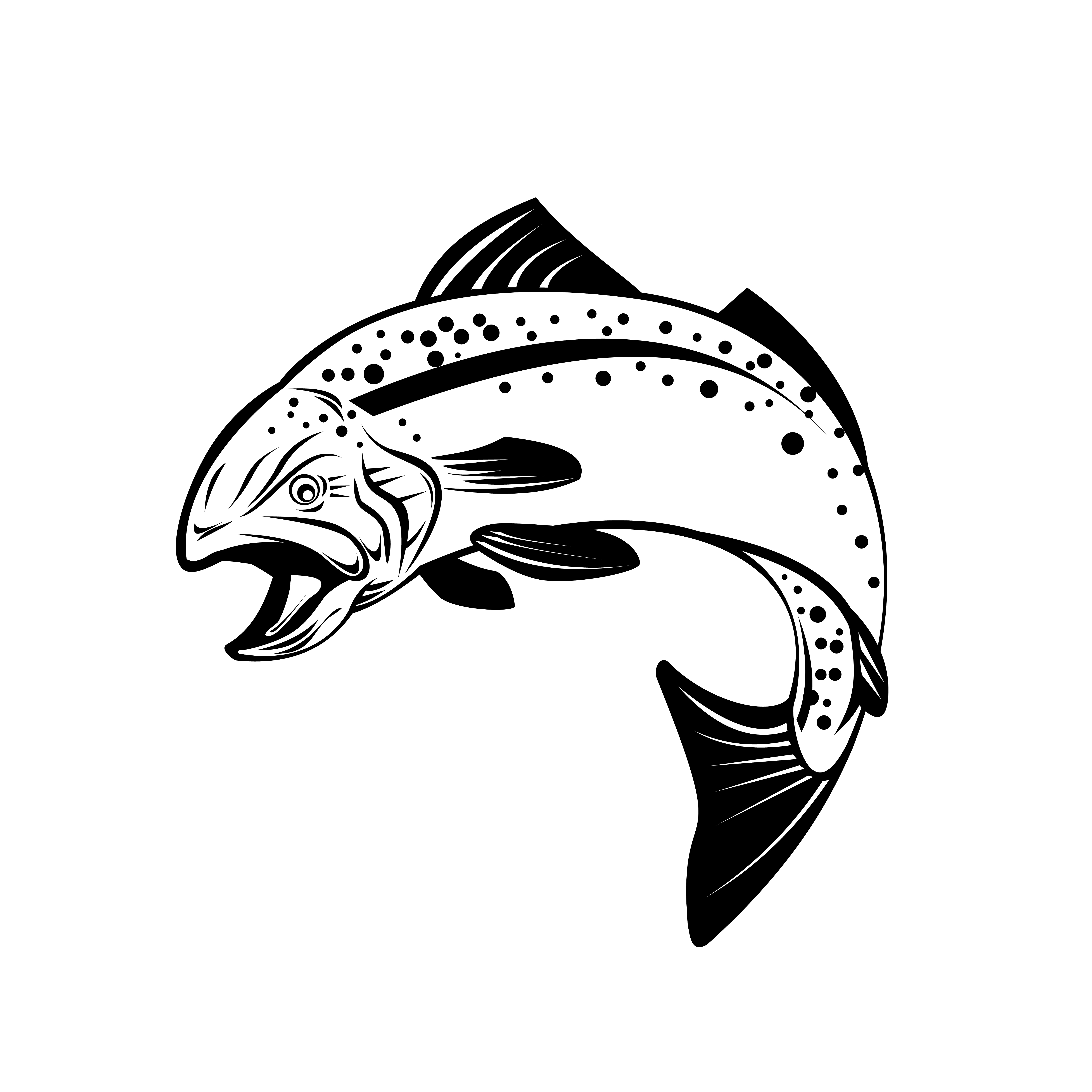 Speckled Trout Spotted Seatrout or Cynoscion Nebulosus 1913013 Vector