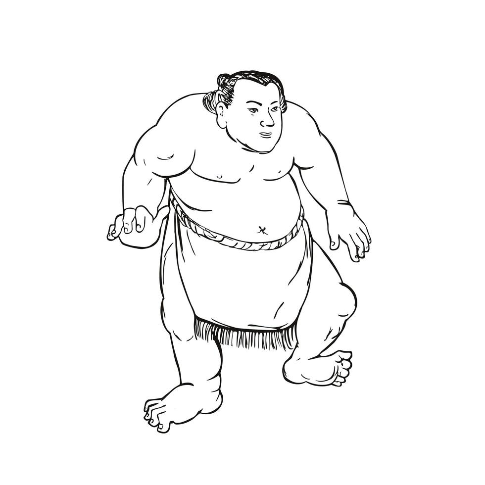 Luchador de sumo profesional o rikishi en posición de lucha vector