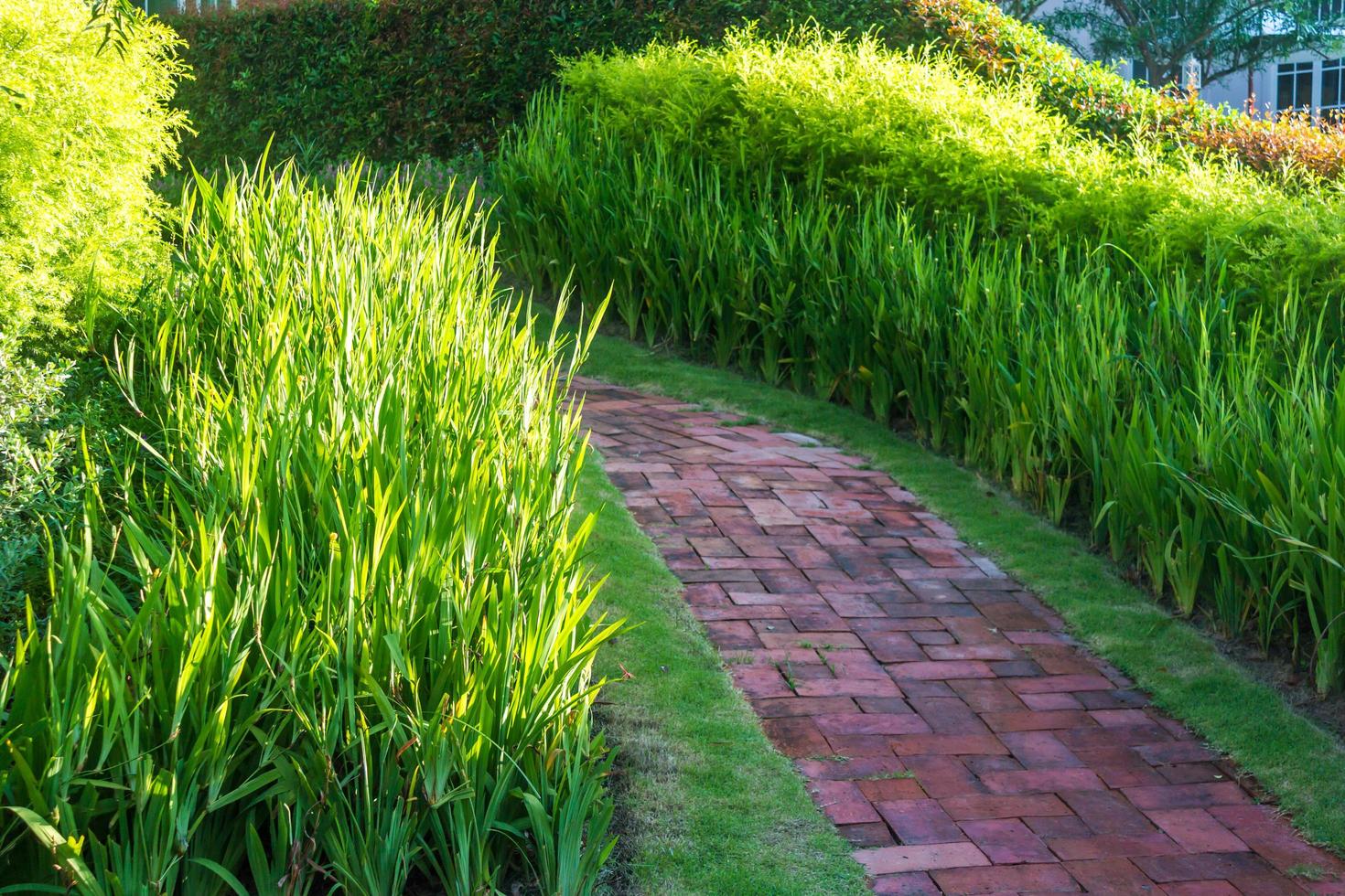 Brick walkway on green grass photo