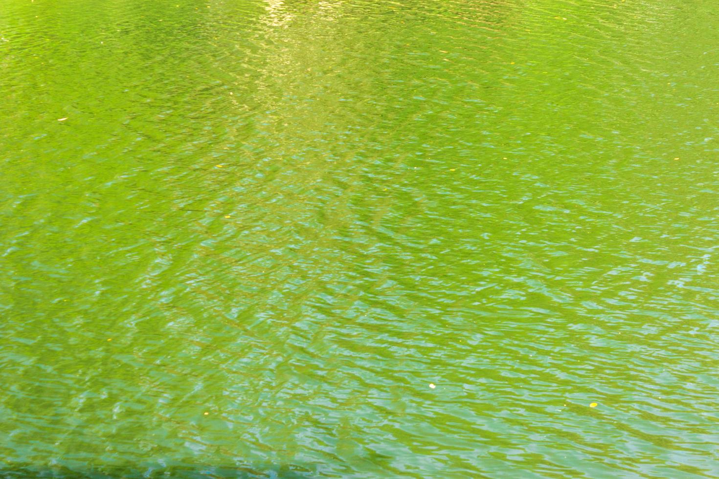 Ripples on the surface of green water photo