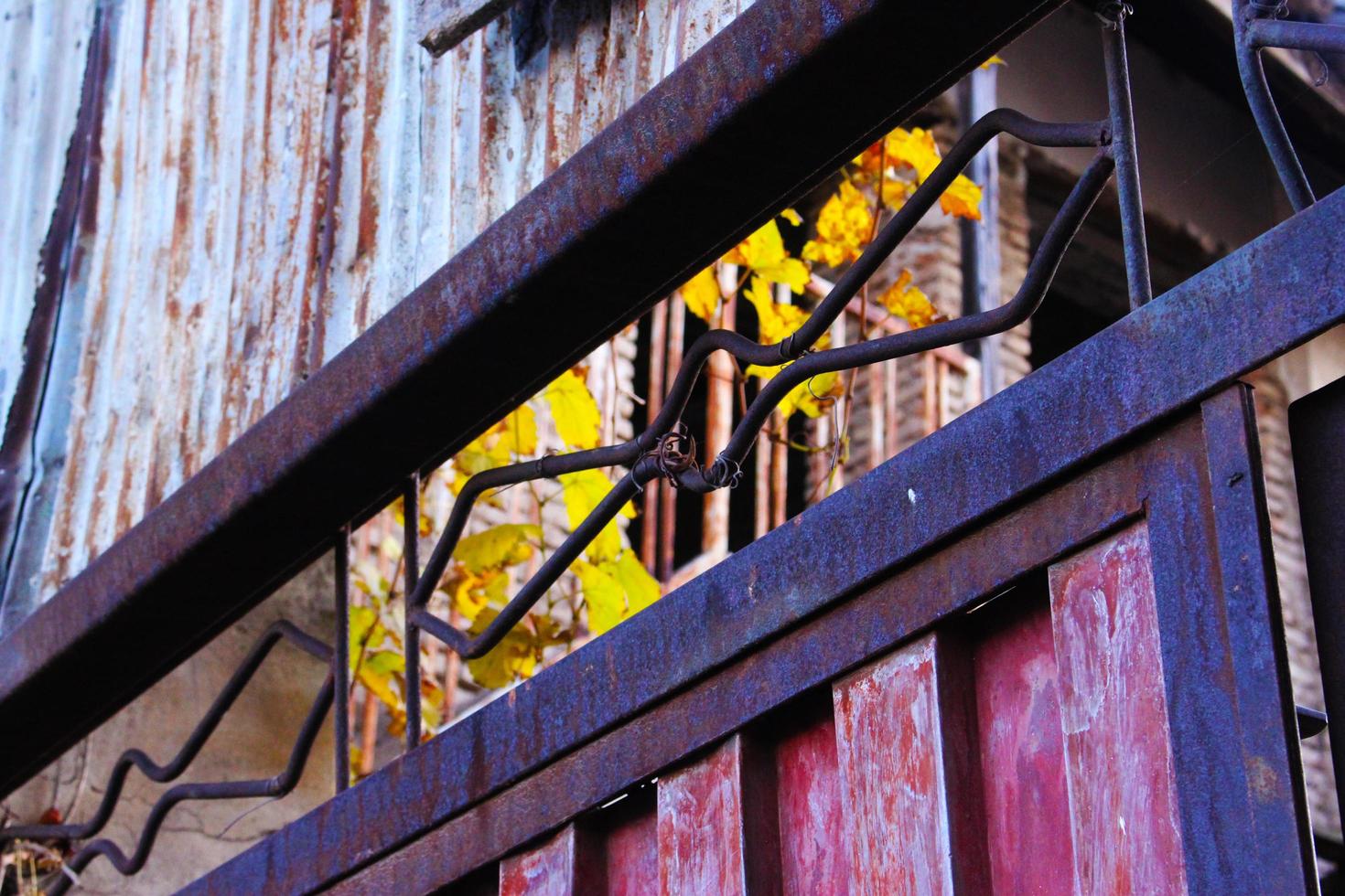 Iron on fence photo