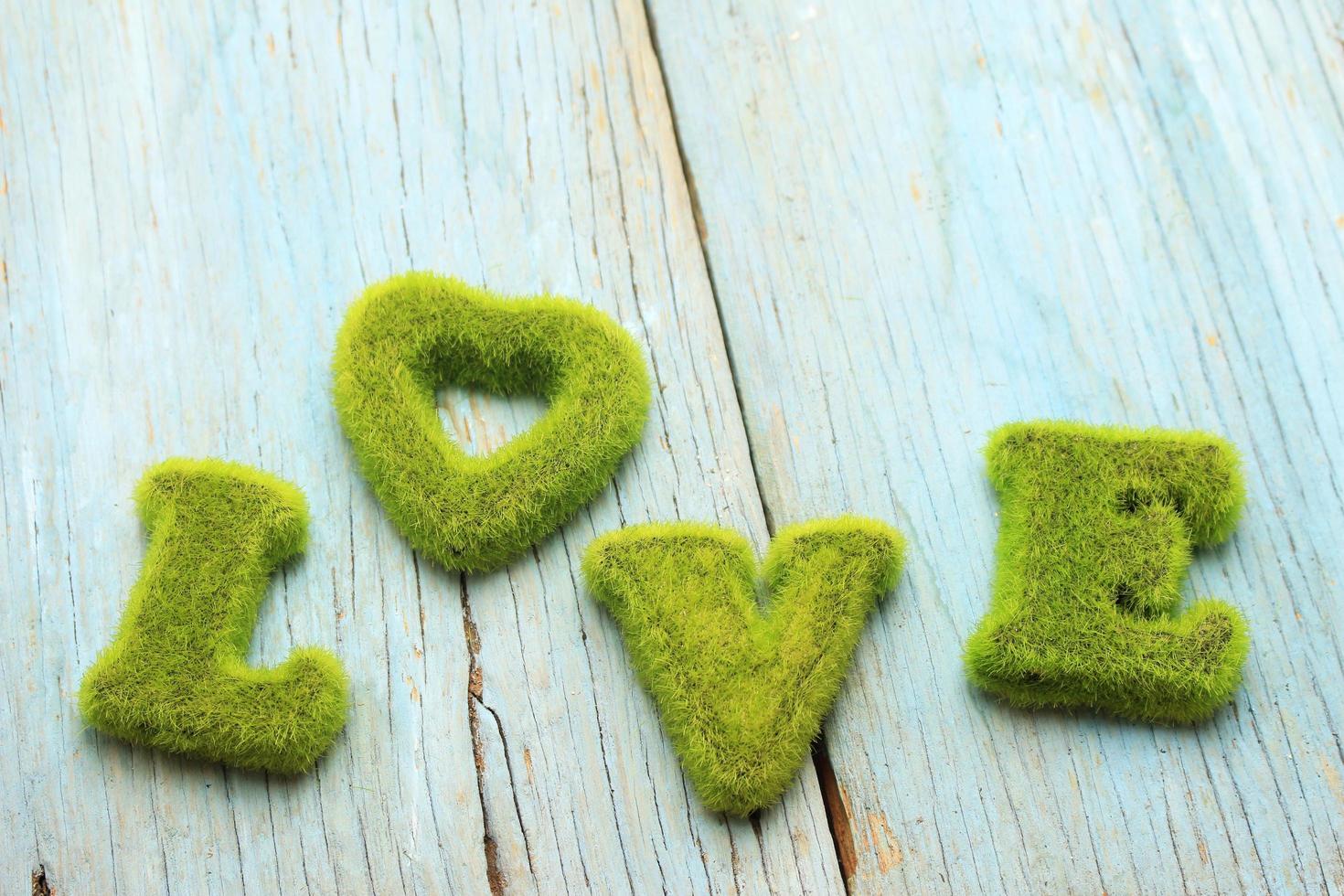 signo de amor verde foto