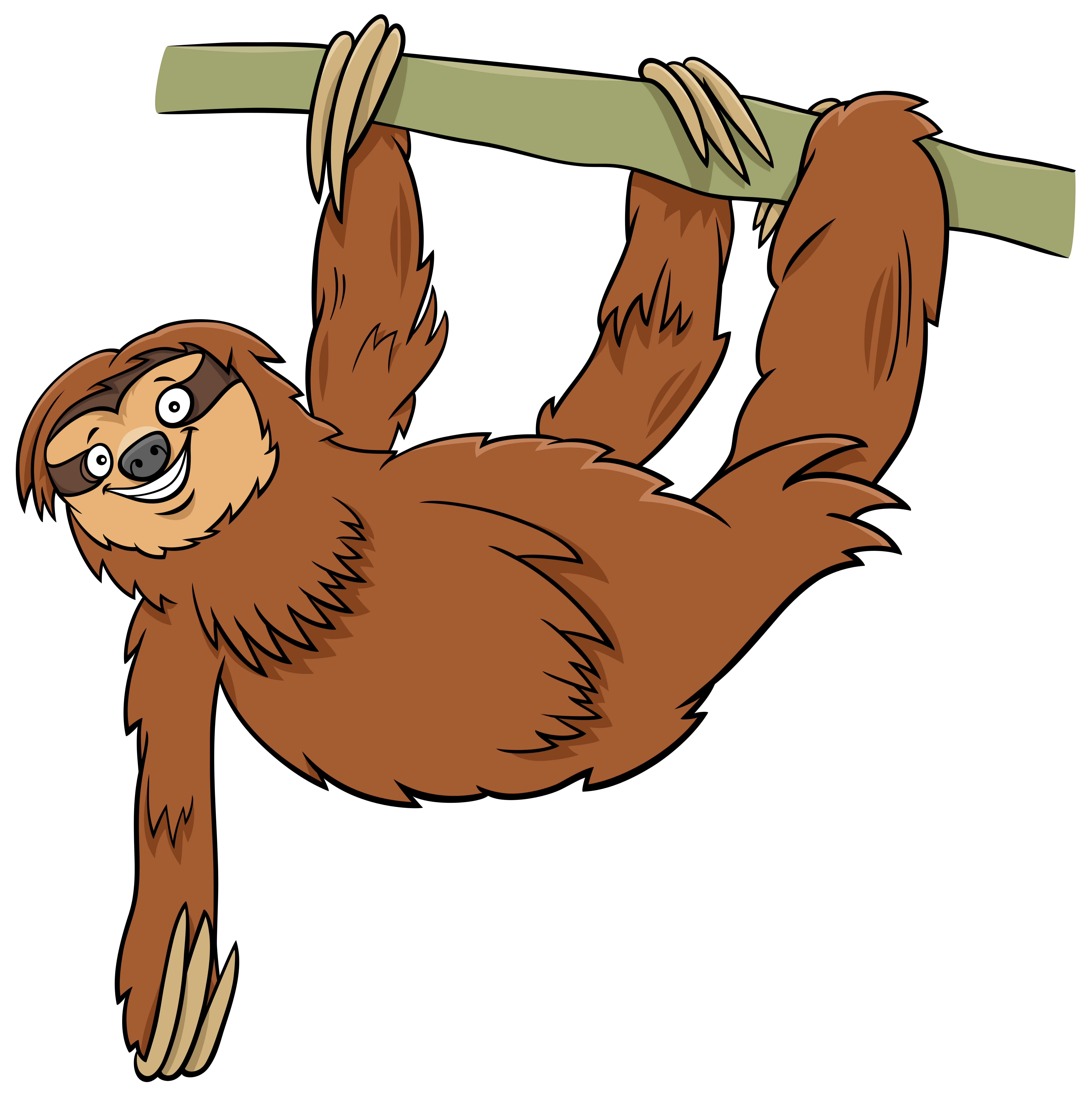 funny sloth