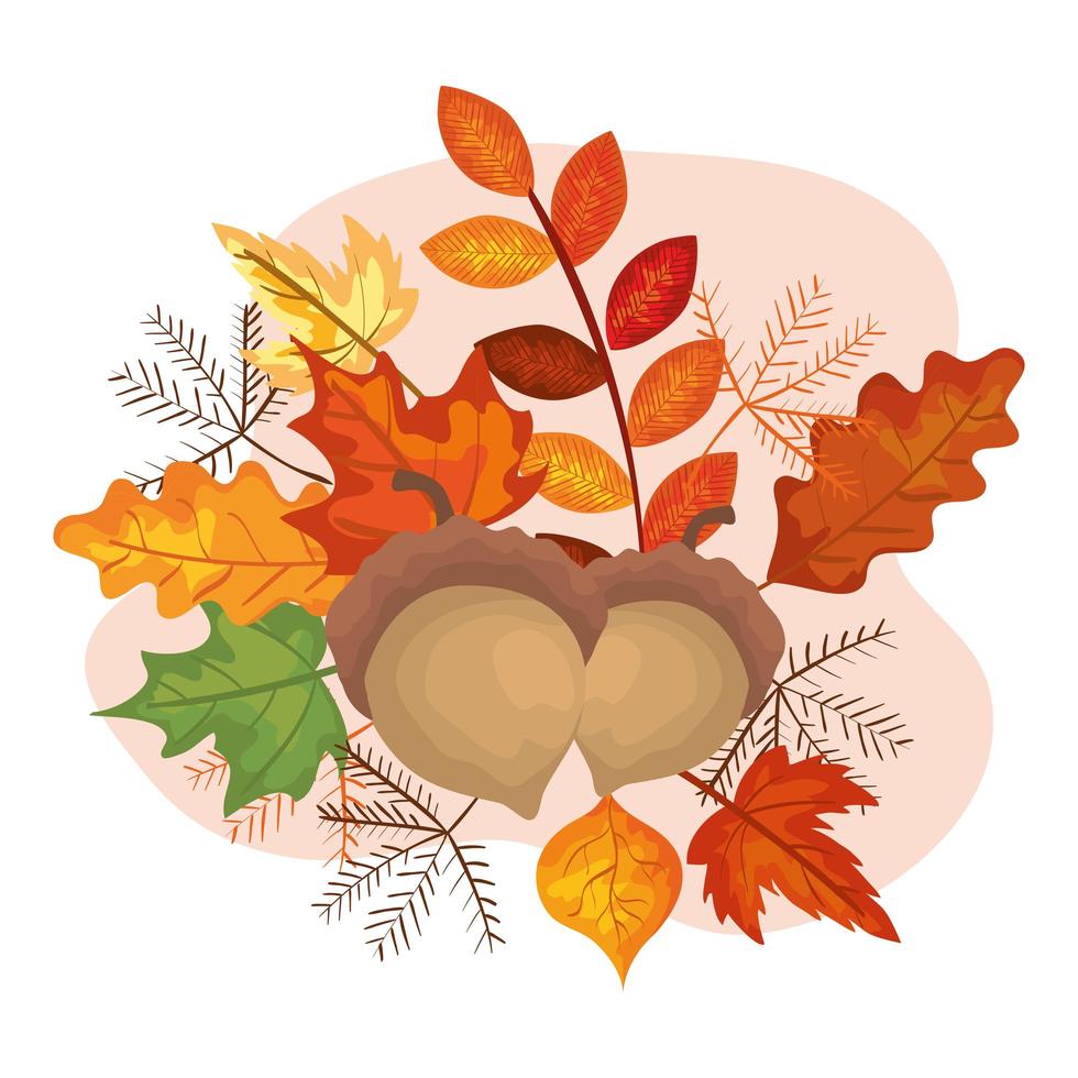 nuts with leafs of autumn vector