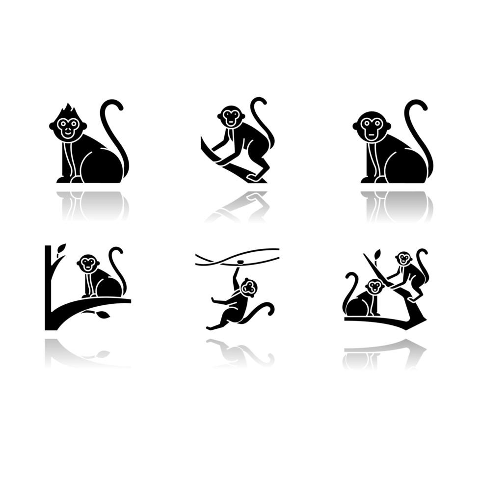 Monkeys in wild drop shadow black glyph icons set. Tropical country animal, mammal on trees. Exploring exotic Indonesian wildlife. Primate sitting. Balinese forest fauna. Isolated vector illustrations