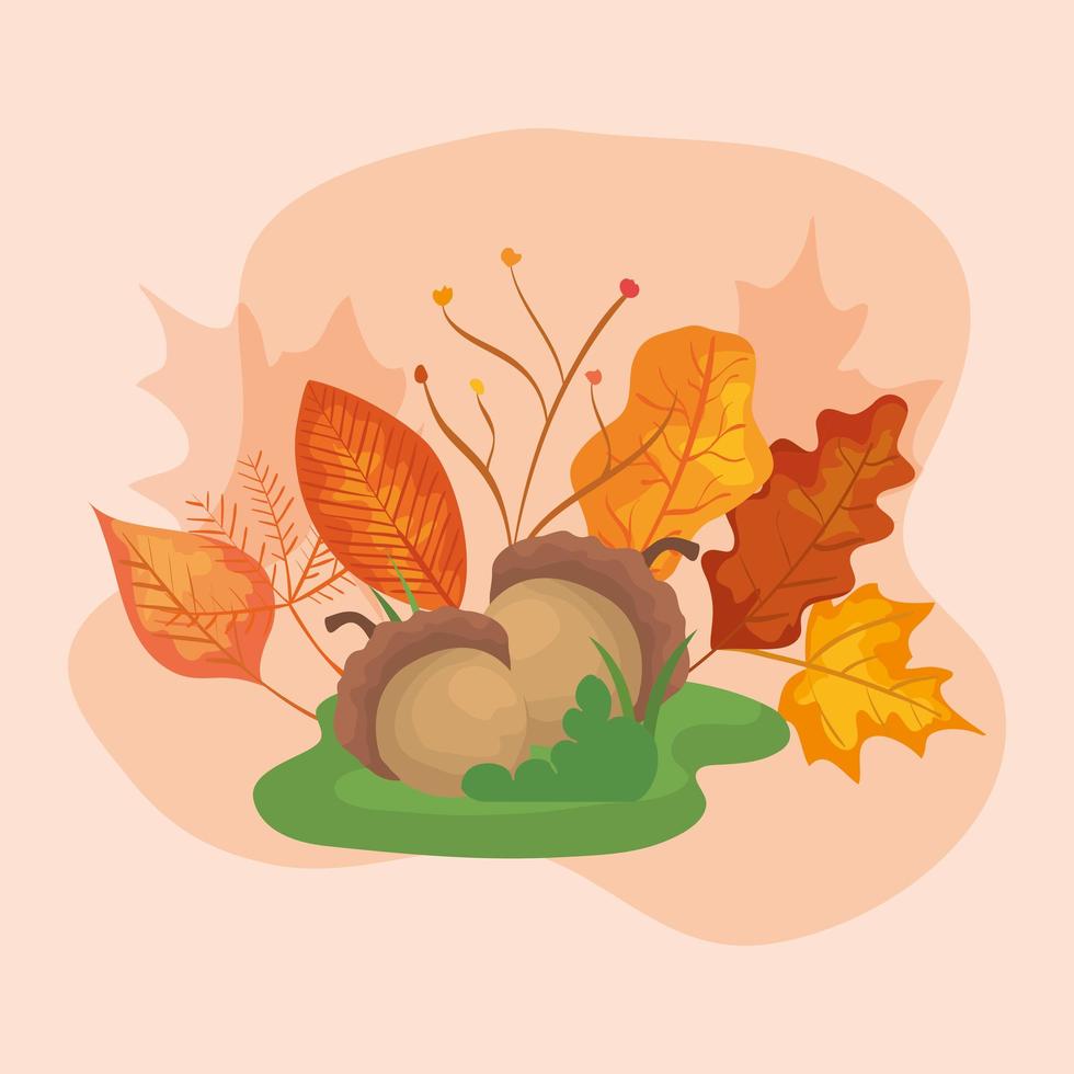 nueces con hojas de otoño vector
