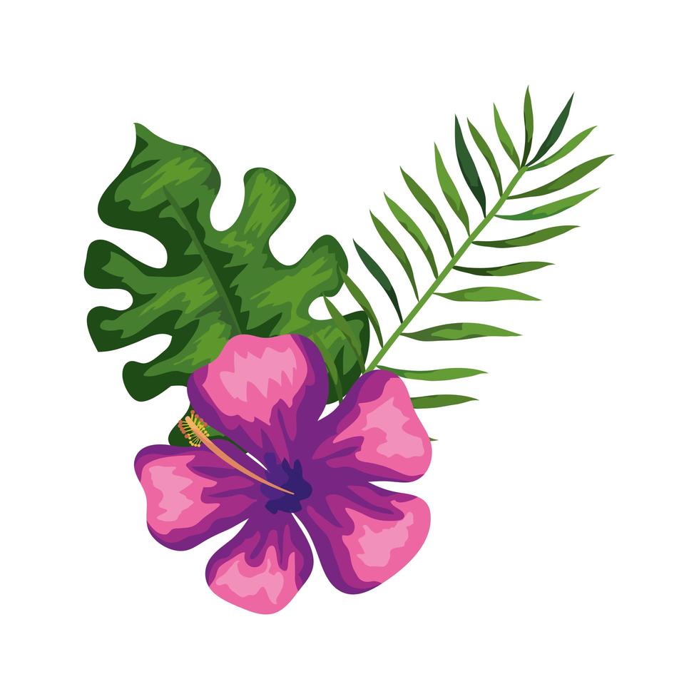 natural flower of purple color with branch and leafs vector