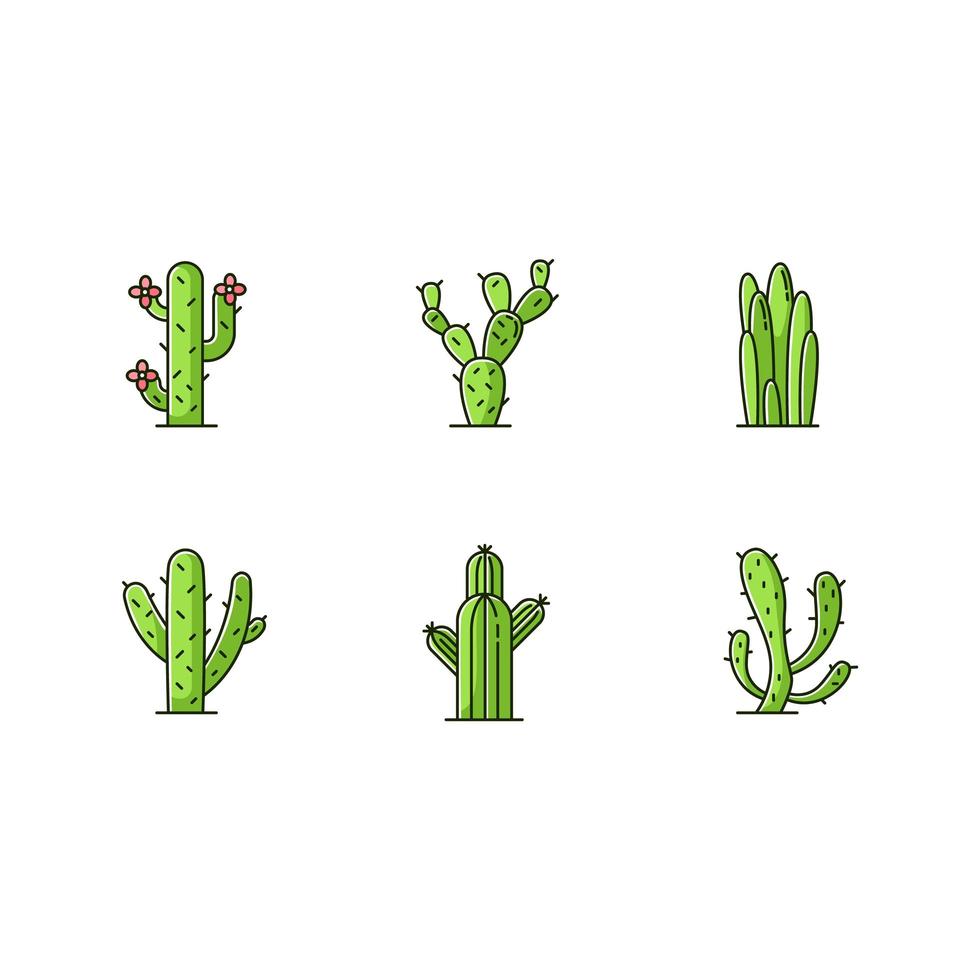 cactus conjunto de iconos de color verde rgb. plantas del desierto americano con troncos carnosos. familia de las cactáceas. diferentes suculentas espinosas. zona árida flores silvestres espinosas. ilustraciones vectoriales aisladas vector