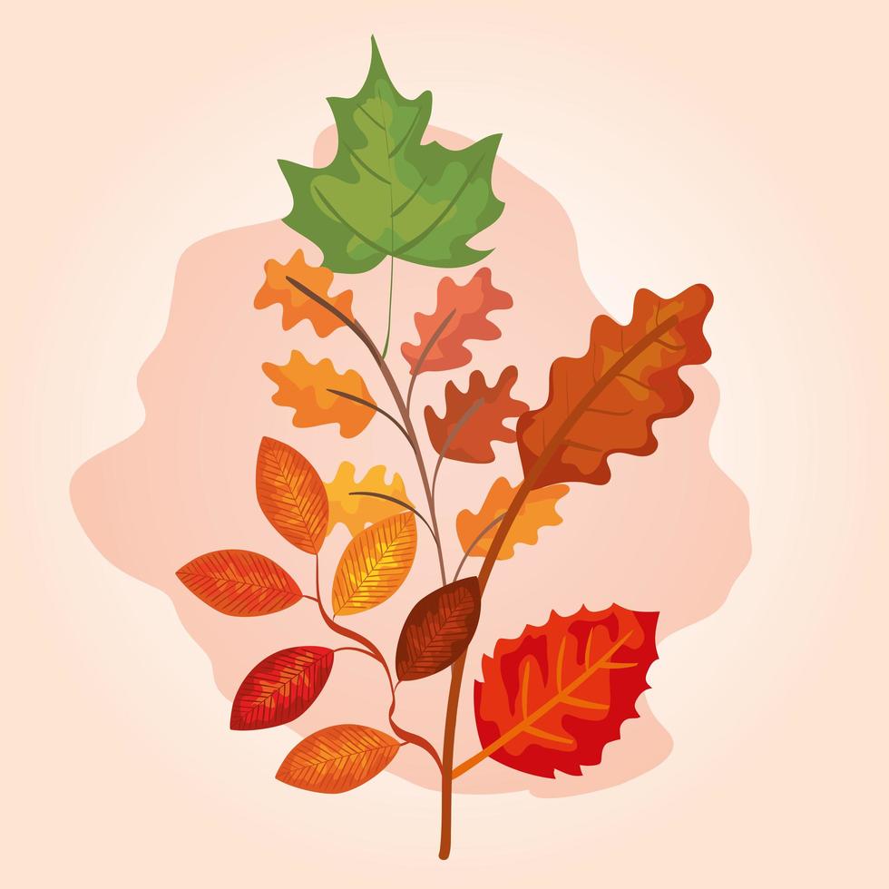 branches with leafs of autumn vector