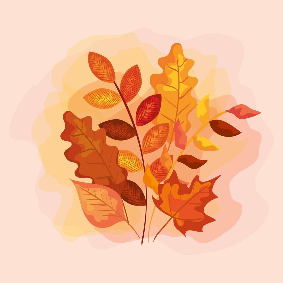 ramas con hojas de otoño vector