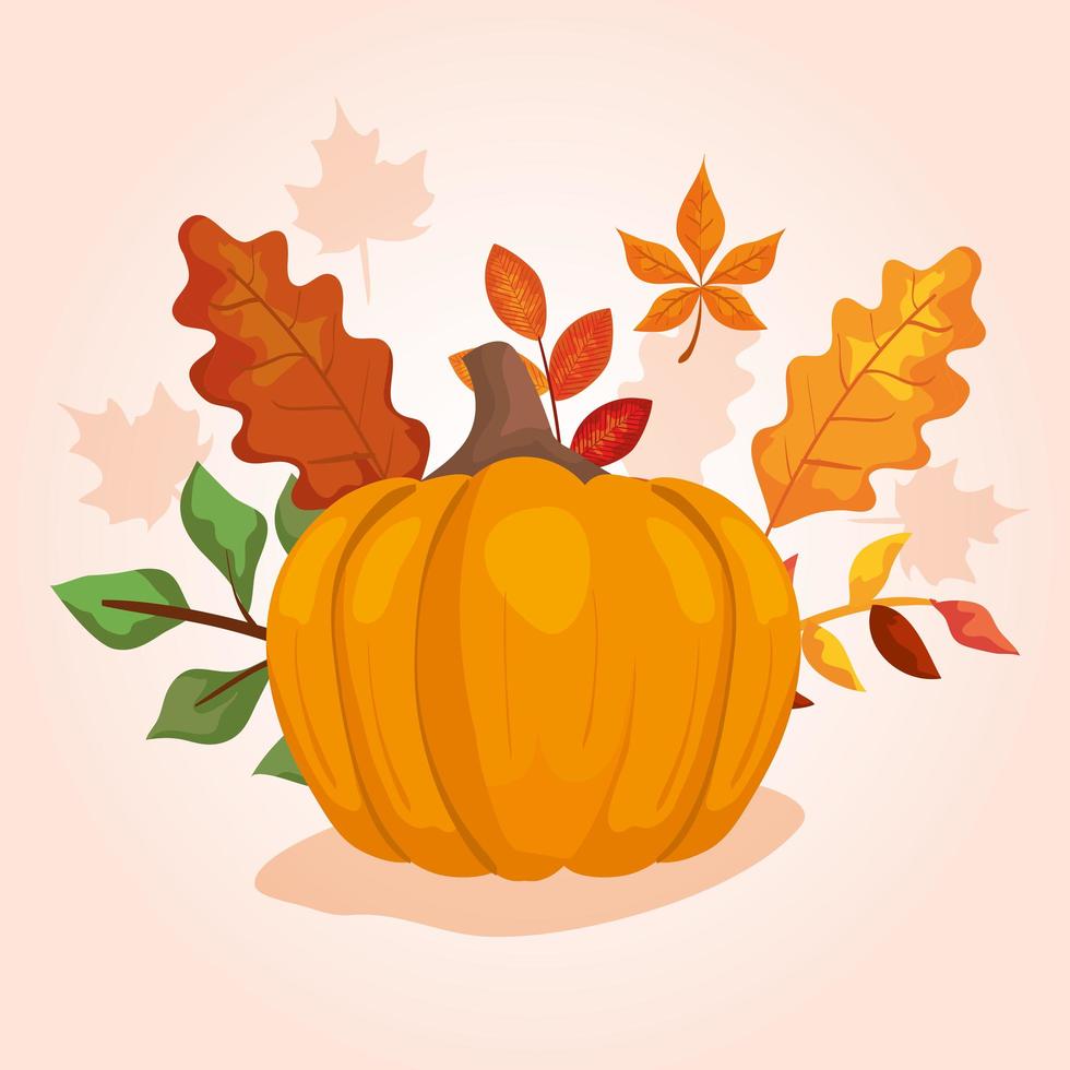 pumpkin with leafs of autumn vector