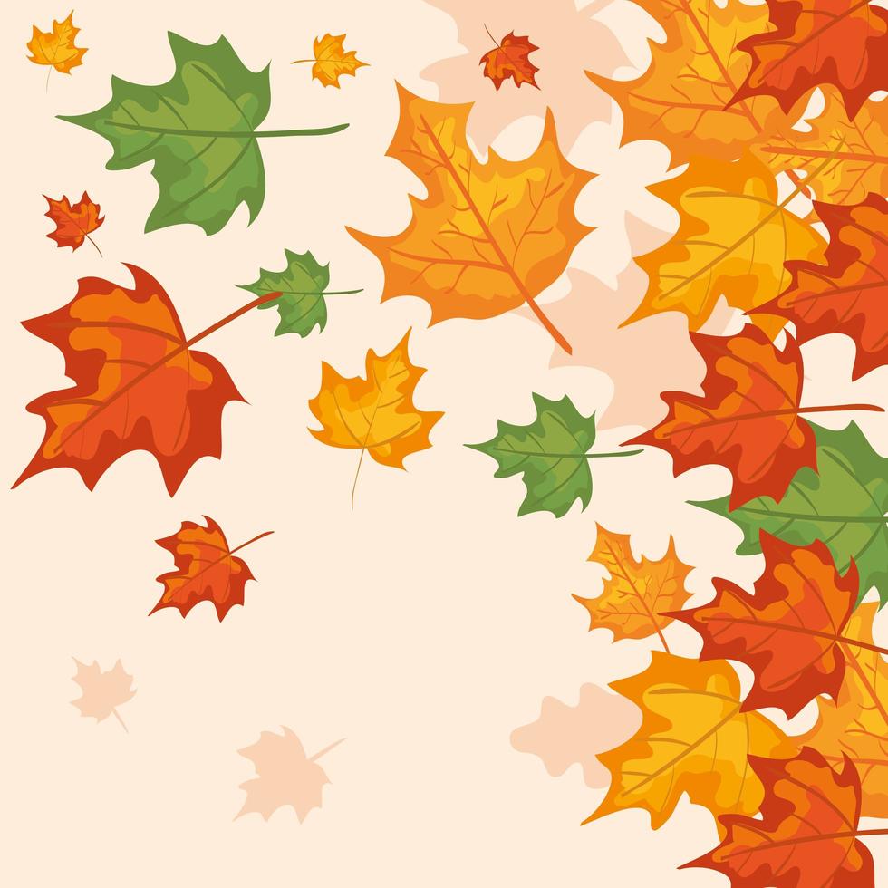 branches with leafs of autumn vector