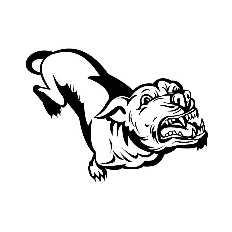 Angry Pit Bull or Pitbull Barking Retro Black and White vector