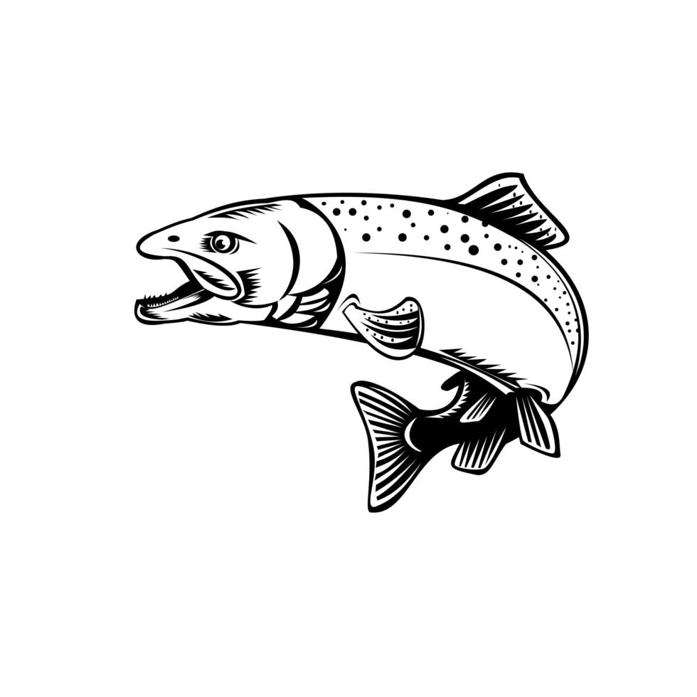 Chinook Salmon Oncorhynchus Tshawytscha Quinnat Salmon King Salmon or Chrome Hog Retro Woodcut Black and White vector