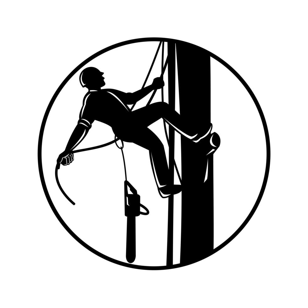 Arborist Climbing Up Tree With Chainsaw in Circle Retro Woodcut Black and White vector