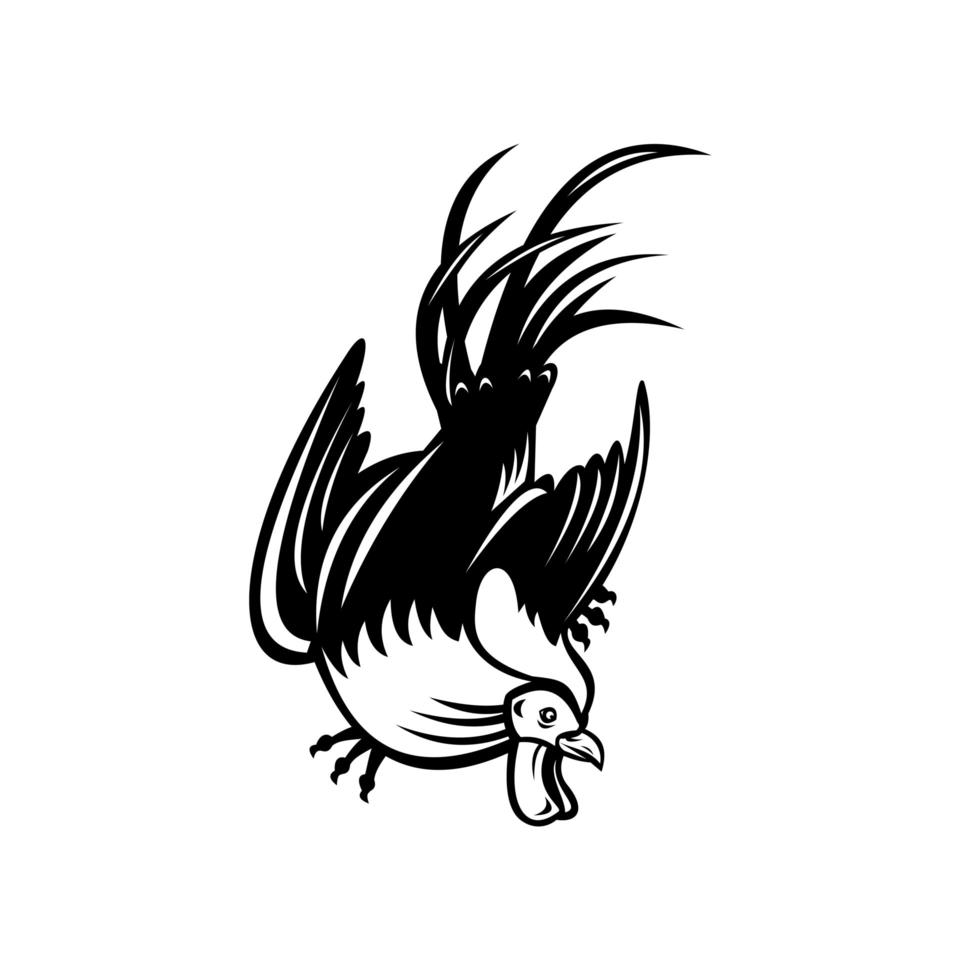 Junglefowl Cockerel or Rooster in Fighting Stance Retro Black and White vector