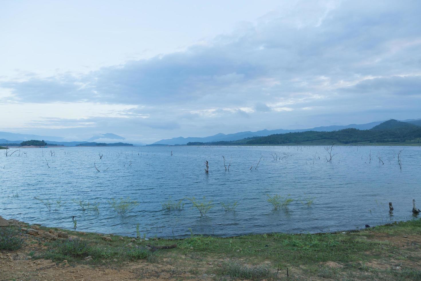 Dry trees in the lake photo