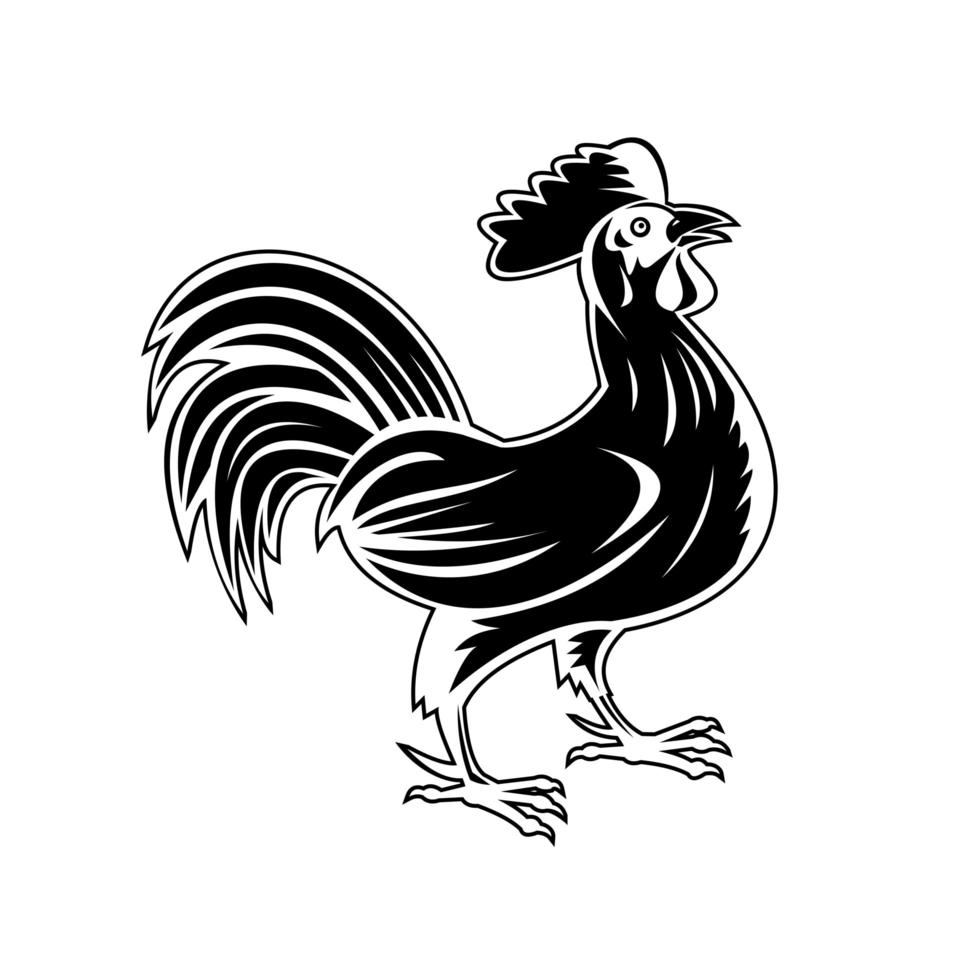 Rooster Jungle Fowl or Cockerel Looking Up Side View Retro Woodcut Black and White vector