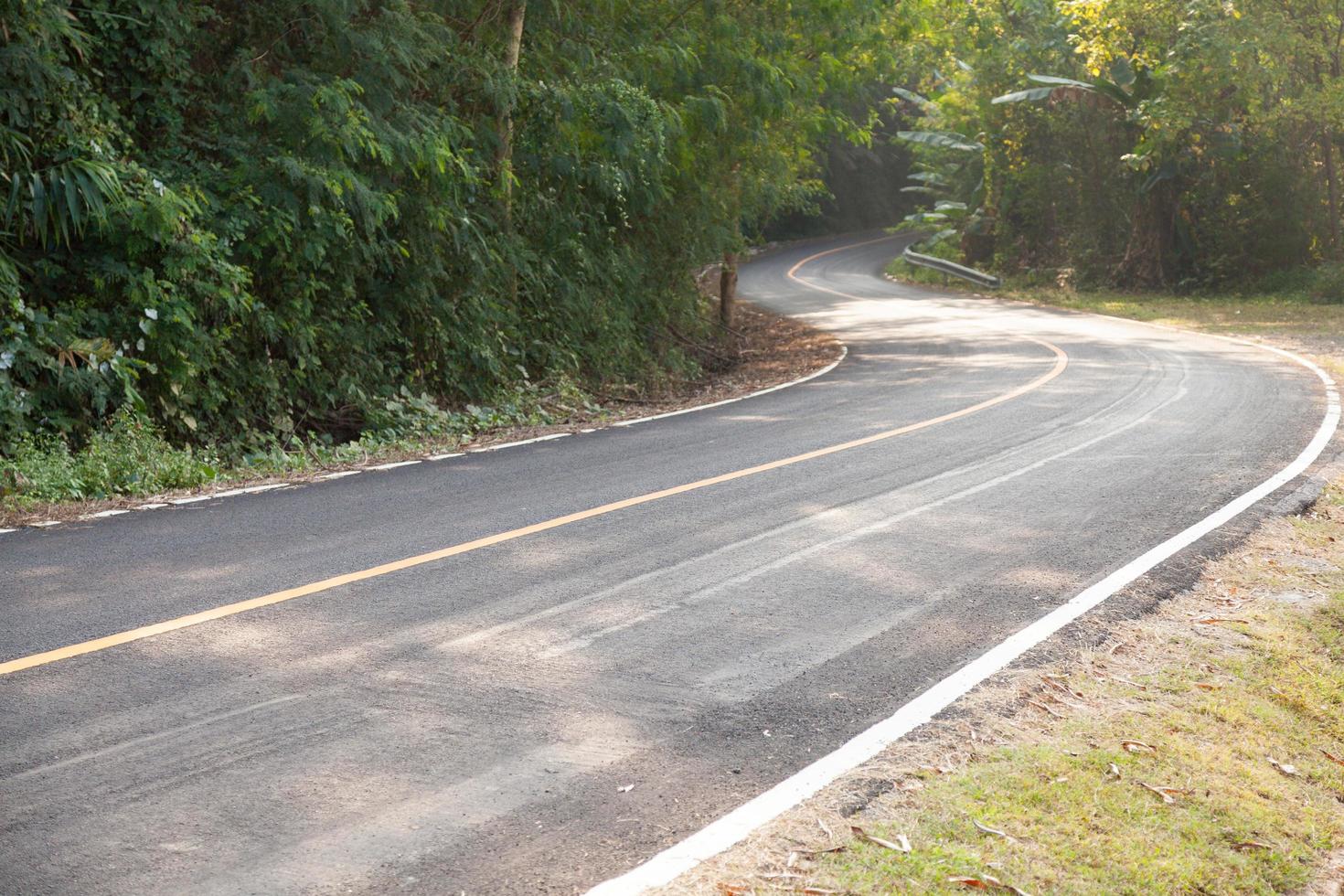 Curvy road in the forest photo