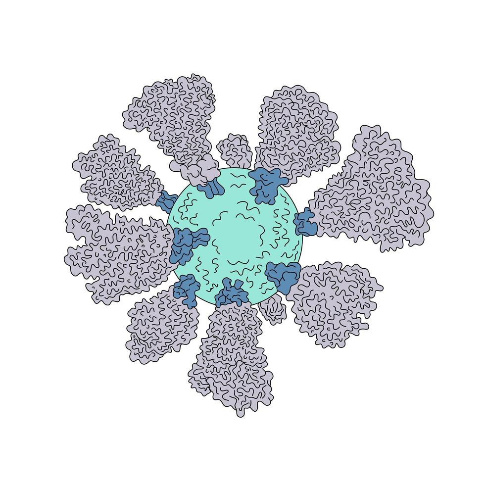 dibujo lineal miscroscópico de células de coronavirus vector