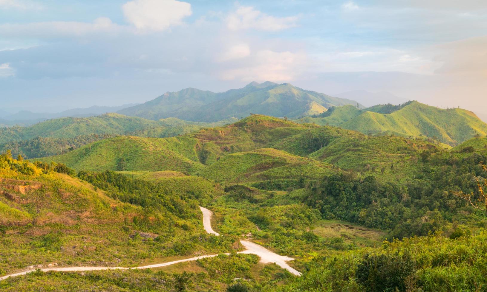 paisaje forestal en tailandia foto