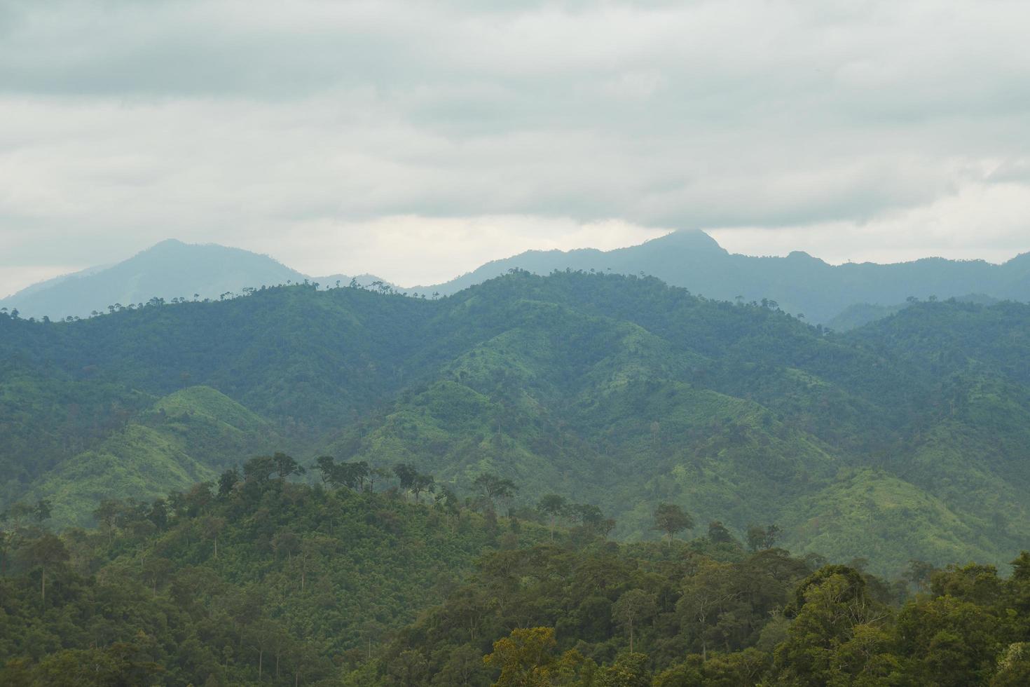 paisaje forestal en tailandia foto