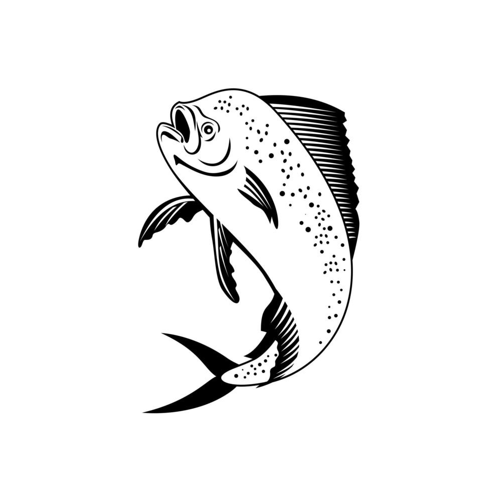 dorado, dorado, dorado, o, mahi-mahi, saltar, retro, negro y blanco vector