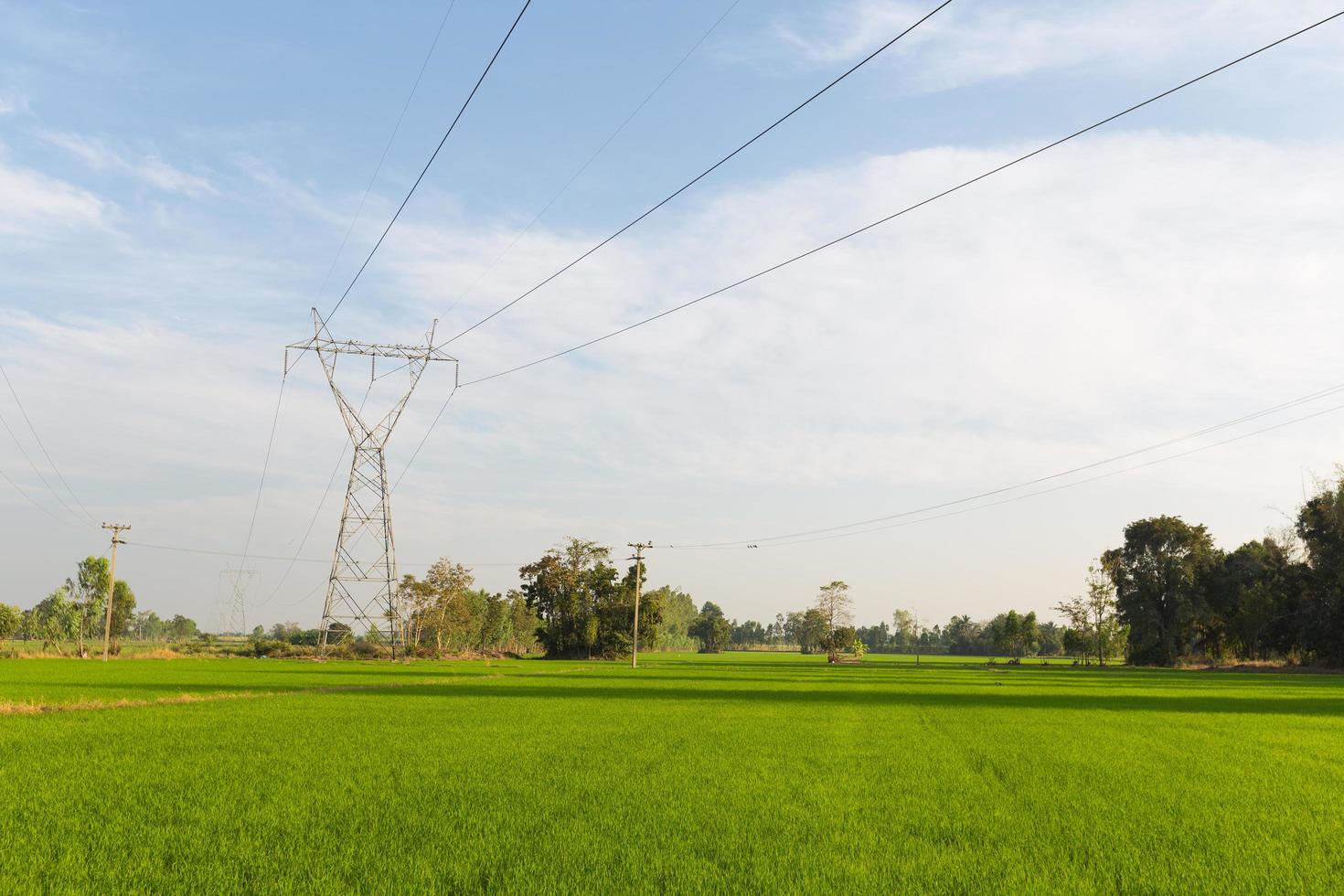 líneas de transmisión de electricidad sobre los campos de arroz. foto