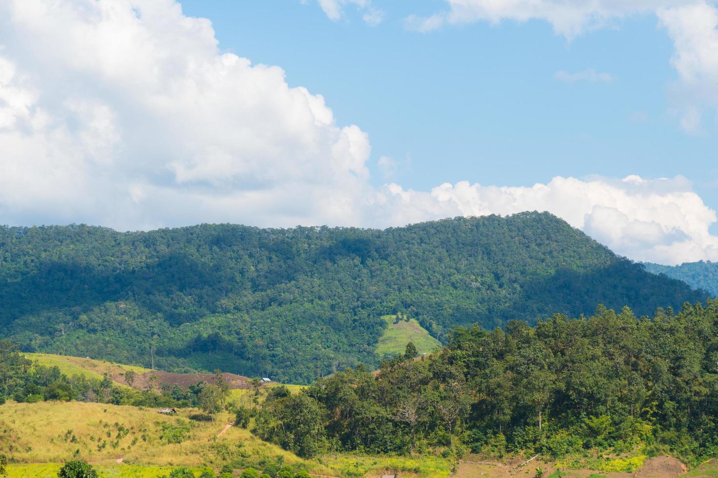 paisaje en tailandia foto