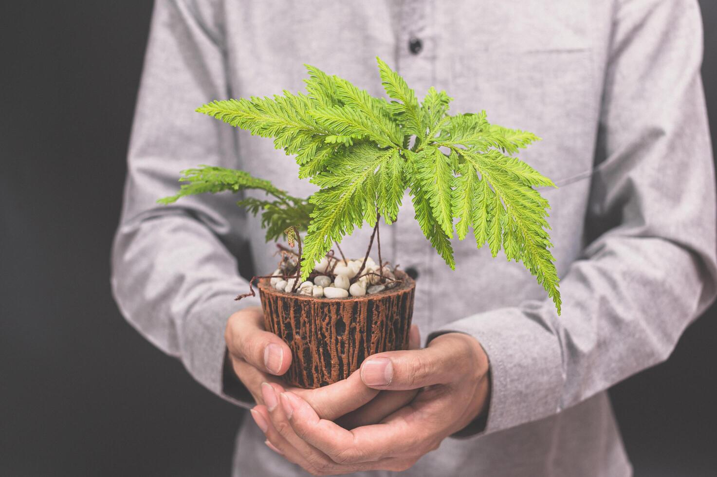 Person holding plant photo