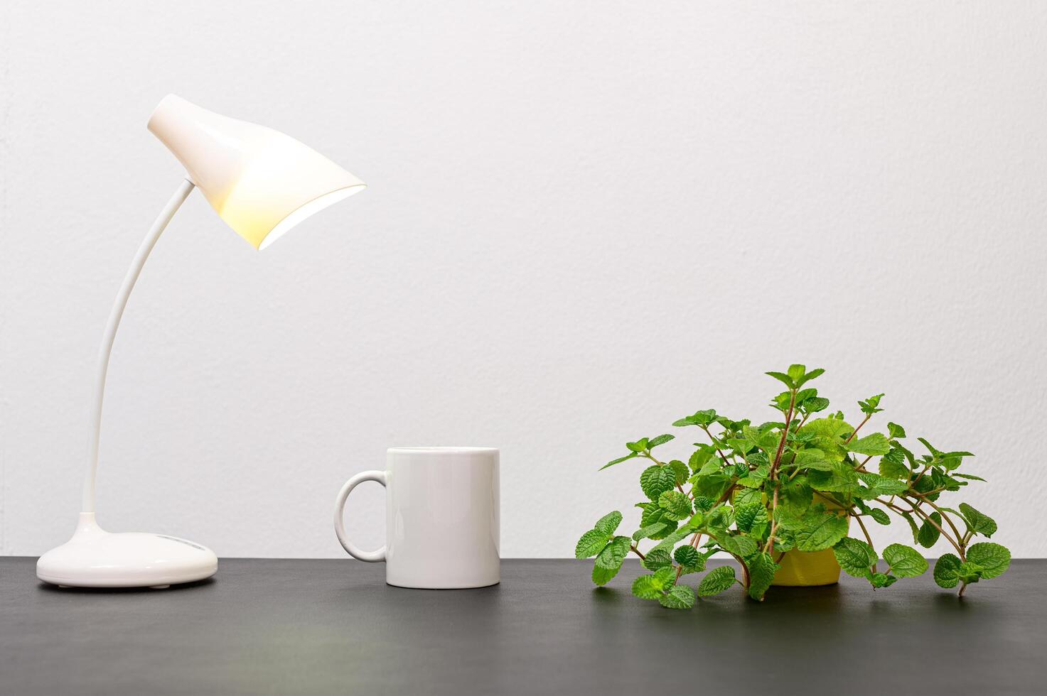 Lamp and coffee mug with a plant photo