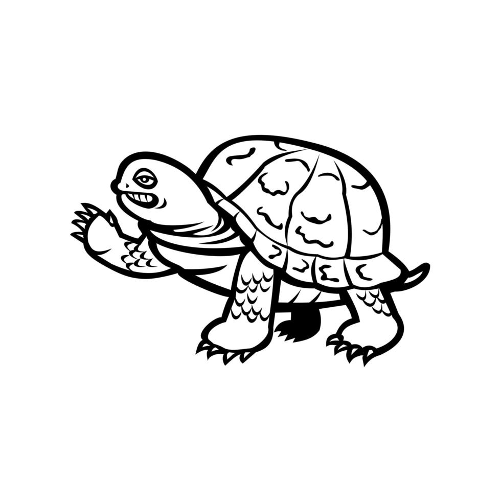 Eastern Box Turtle Waving Black and White vector