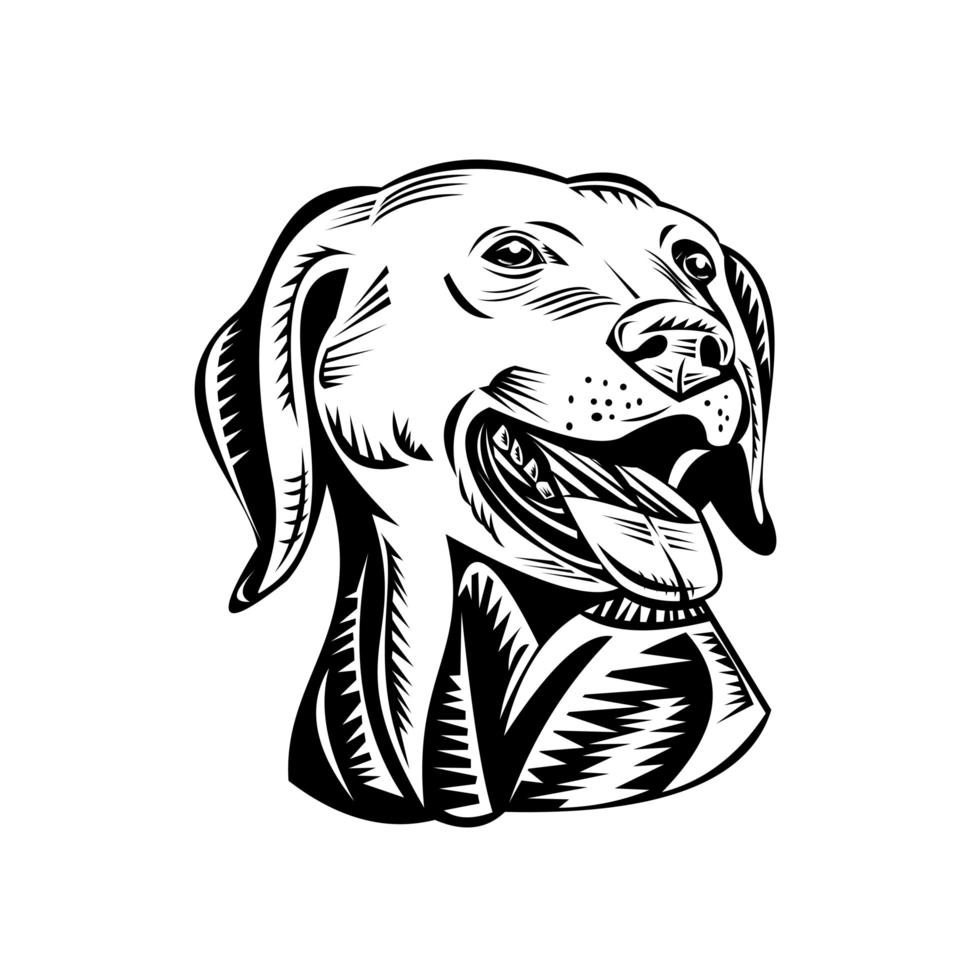Cabeza de un labrador retriever perro pistola xilografía retro en blanco y negro vector