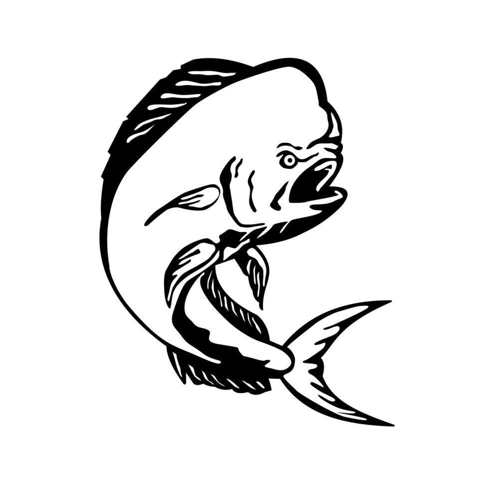 Angry Mahi-mahi Dorado Dolphinfish Jumping Etching Black and White vector