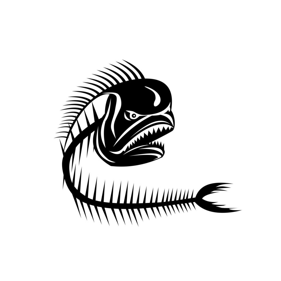 Mahi-mahi Dorado Dolphinfish Skeleton Black and White vector