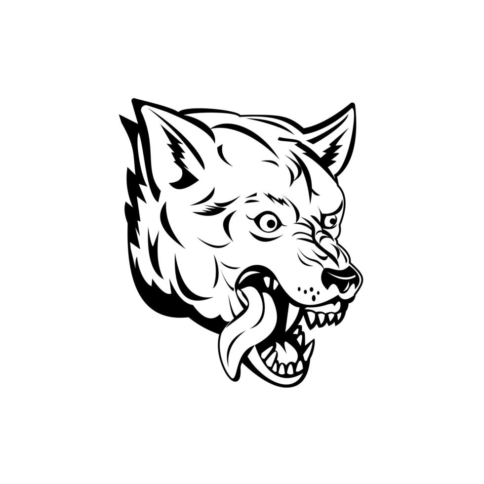 Cabeza de un lobo gris agresivo y enojado lobo gris o mascota canis lupus en blanco y negro vector