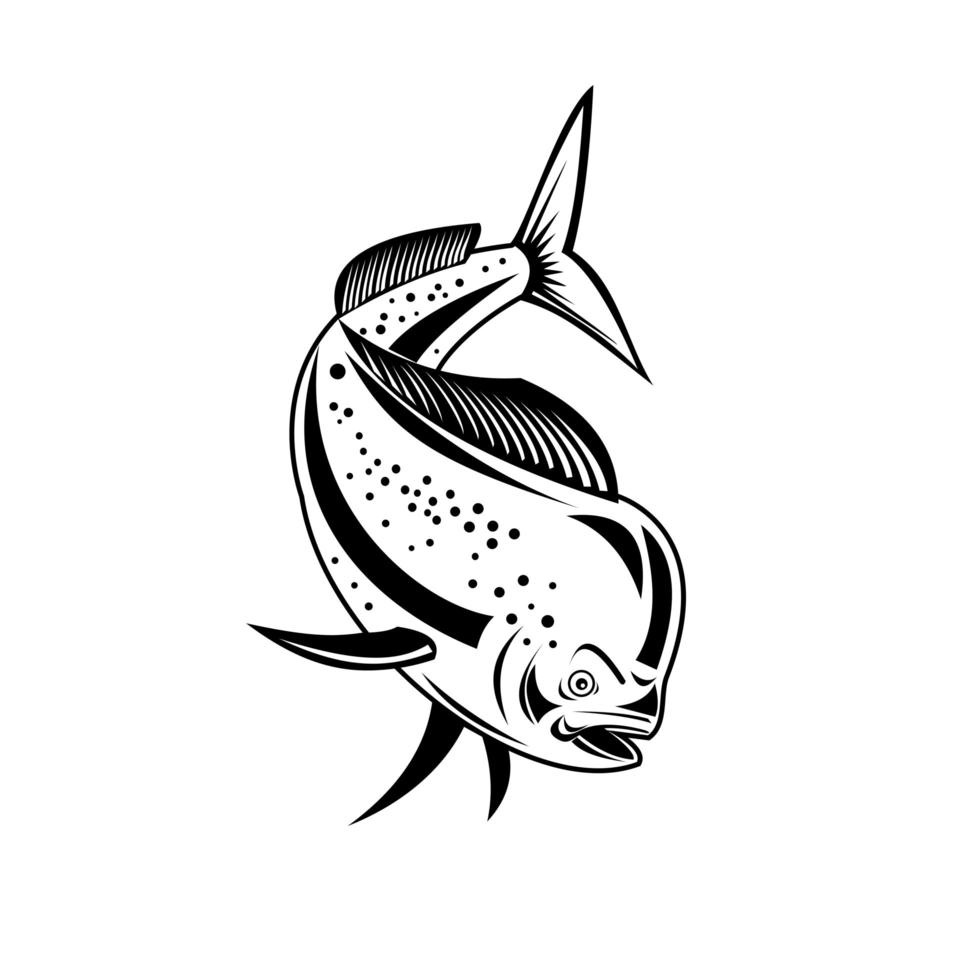 Mahi-mahi or Common Dolphinfish Diving Down Retro Black and White vector