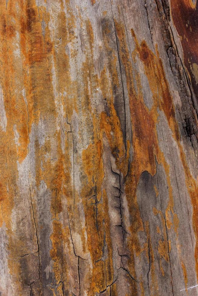 Close-up of wood table for texture and background photo