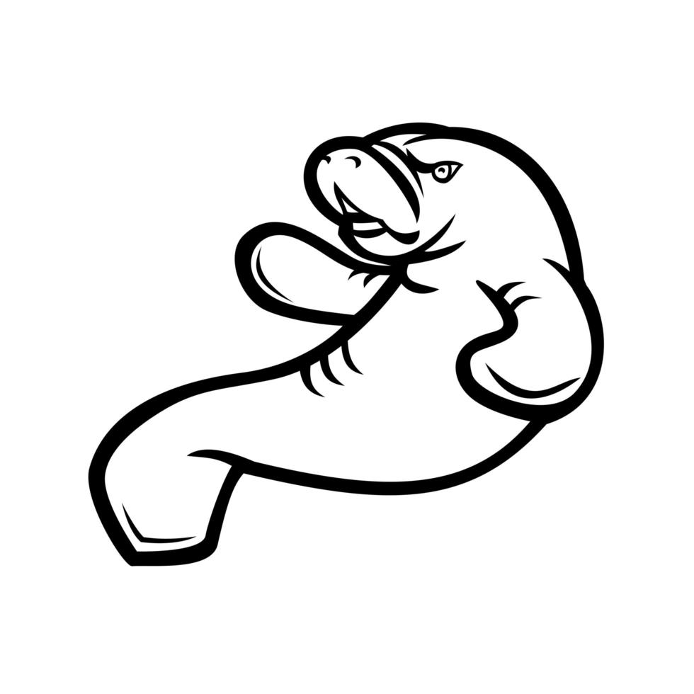 Angry Manatee Swimming Up Mascot Black and White vector
