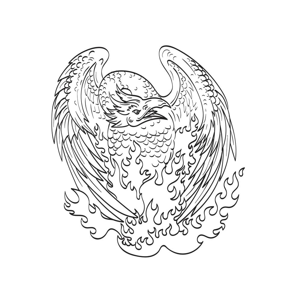 Phoenix Mythological Bird Regenerates on Fire Front Line Art Drawing Black and White vector